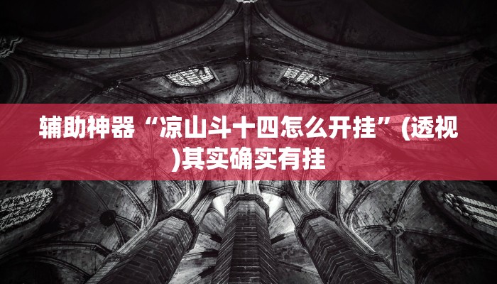 辅助神器“凉山斗十四怎么开挂”(透视)其实确实有挂