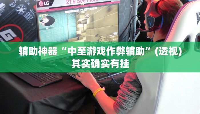 辅助神器“中至游戏作弊辅助”(透视)其实确实有挂