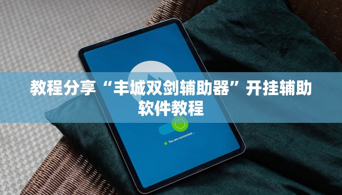 教程分享“丰城双剑辅助器”开挂辅助软件教程