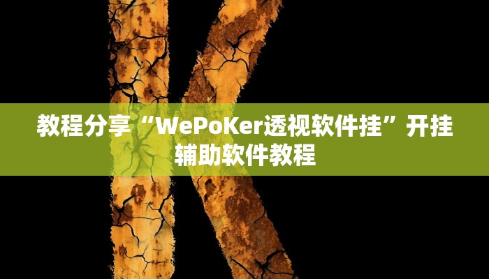 教程分享“WePoKer透视软件挂”开挂辅助软件教程