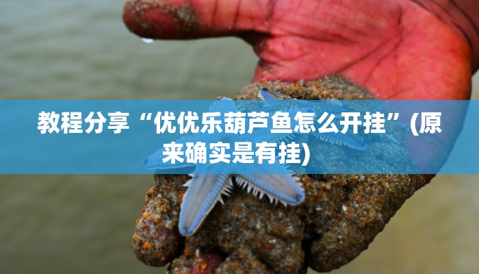 教程分享“优优乐葫芦鱼怎么开挂”(原来确实是有挂) 教程分享“优优乐葫芦鱼怎么开挂”(原来确实是有挂)