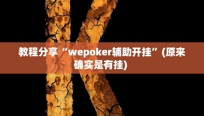 教程分享“wepoker辅助开挂”(原来确实是有挂) 