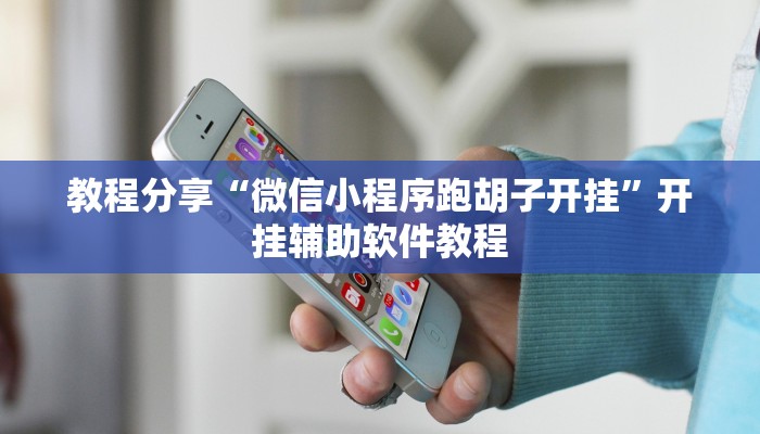 教程分享“微信小程序跑胡子开挂”开挂辅助软件教程