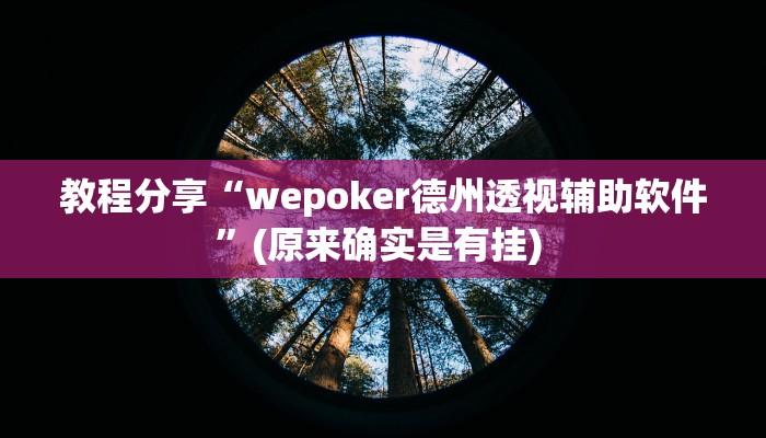 教程分享“wepoker德州透视辅助软件”(原来确实是有挂) 