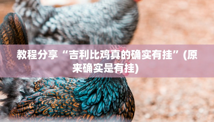 教程分享“吉利比鸡真的确实有挂”(原来确实是有挂) 教程分享“吉利比鸡真的确实有挂”(原来确实是有挂)