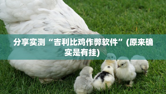 分享实测“吉利比鸡作弊软件”(原来确实是有挂) 