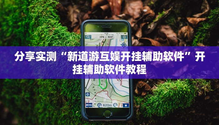 分享实测“新道游互娱开挂辅助软件”开挂辅助软件教程