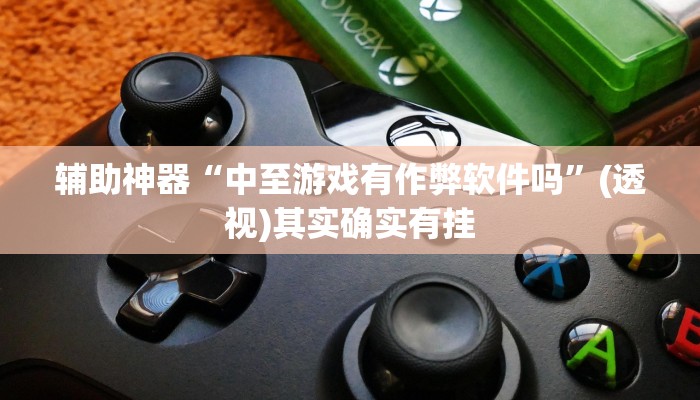 辅助神器“中至游戏有作弊软件吗”(透视)其实确实有挂