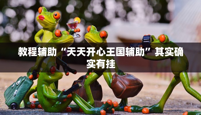 教程辅助“天天开心王国辅助”其实确实有挂