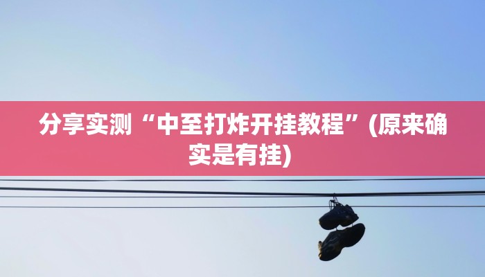 分享实测“中至打炸开挂教程”(原来确实是有挂) 分享实测“中至打炸开挂教程”(原来确实是有挂)