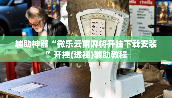 辅助神器“微乐云南麻将开挂下载安装”开挂(透视)辅助教程