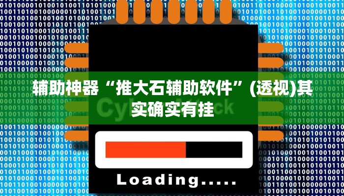 辅助神器“推大石辅助软件”(透视)其实确实有挂