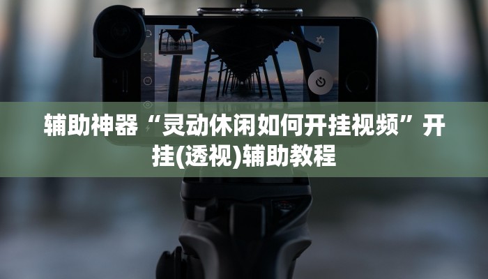 辅助神器“灵动休闲如何开挂视频”开挂(透视)辅助教程