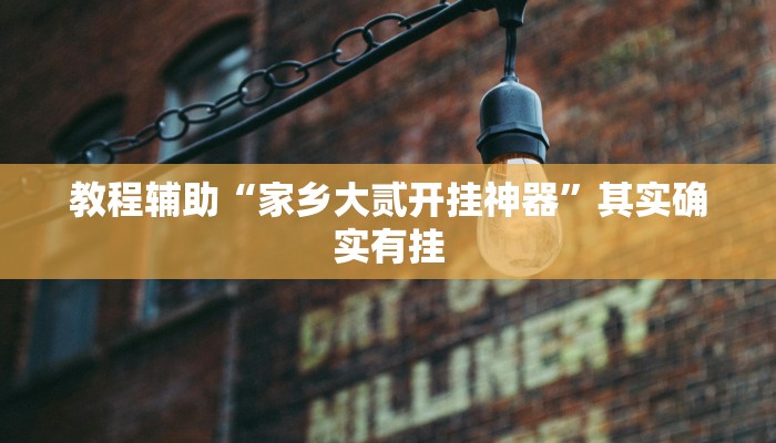 教程辅助“家乡大贰开挂神器”其实确实有挂