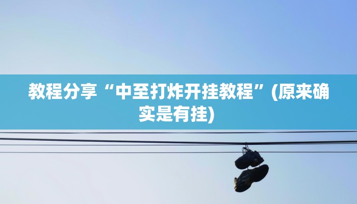 教程分享“中至打炸开挂教程”(原来确实是有挂) 