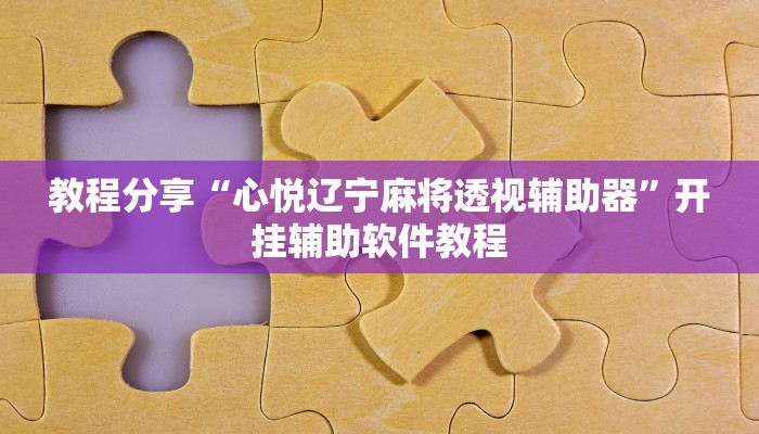 教程分享“心悦辽宁麻将透视辅助器”开挂辅助软件教程