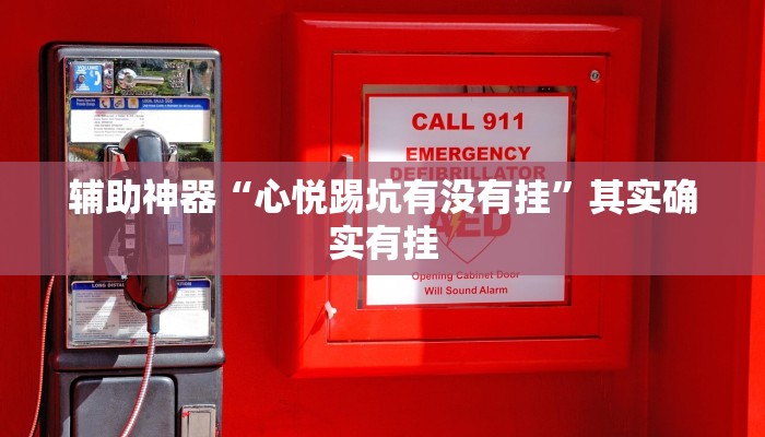 辅助神器“心悦踢坑有没有挂”其实确实有挂 辅助神器“心悦踢坑有没有挂”其实确实有挂