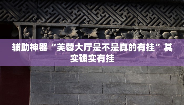 辅助神器“芙蓉大厅是不是真的有挂”其实确实有挂