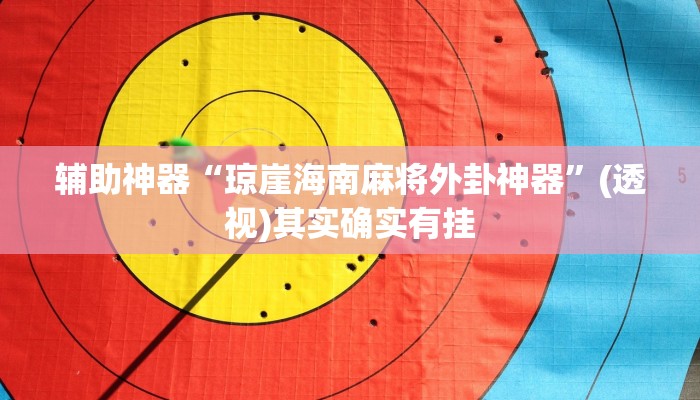 辅助神器“琼崖海南麻将外卦神器”(透视)其实确实有挂