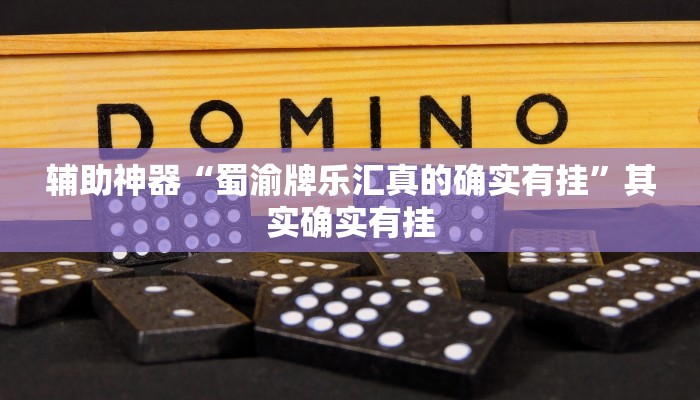 辅助神器“蜀渝牌乐汇真的确实有挂”其实确实有挂