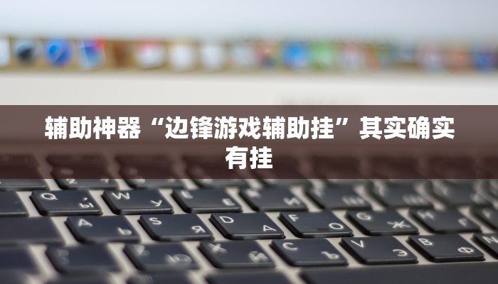 辅助神器“边锋游戏辅助挂”其实确实有挂