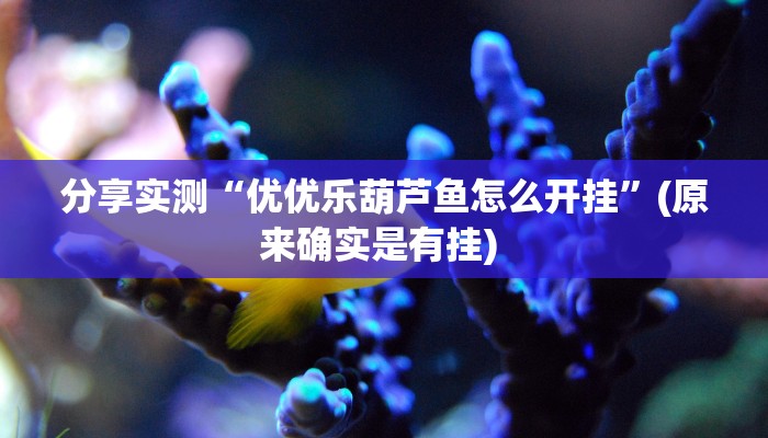 分享实测“优优乐葫芦鱼怎么开挂”(原来确实是有挂) 分享实测“优优乐葫芦鱼怎么开挂”(原来确实是有挂)