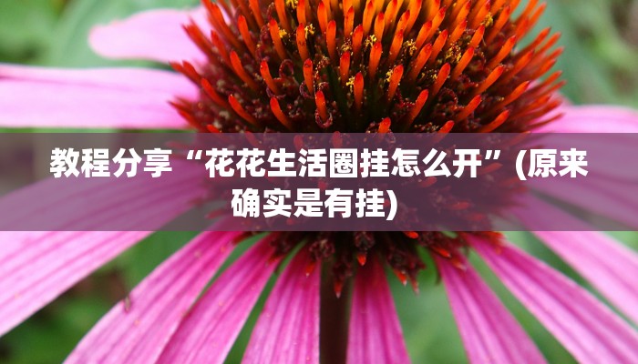 教程分享“花花生活圈挂怎么开”(原来确实是有挂) 