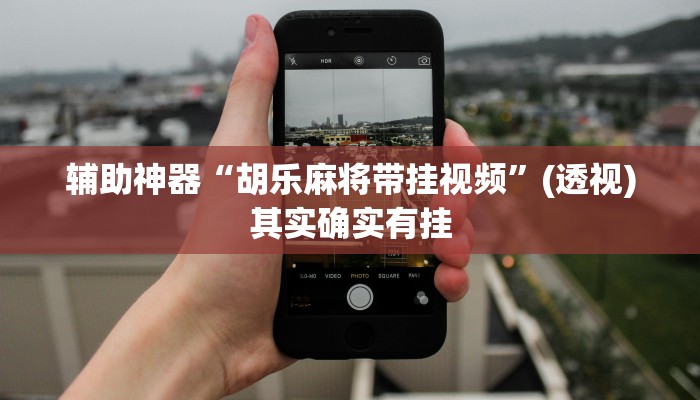 辅助神器“胡乐麻将带挂视频”(透视)其实确实有挂