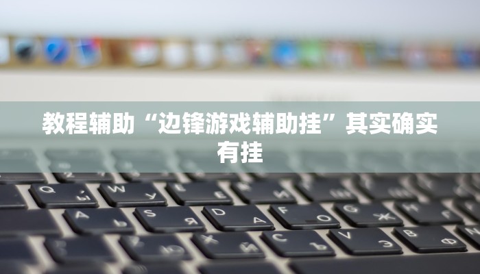 教程辅助“边锋游戏辅助挂”其实确实有挂