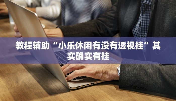 教程辅助“小乐休闲有没有透视挂”其实确实有挂