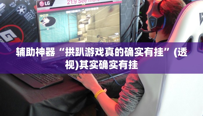 辅助神器“拱趴游戏真的确实有挂”(透视)其实确实有挂