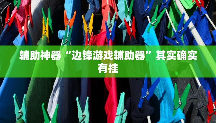 辅助神器“边锋游戏辅助器”其实确实有挂