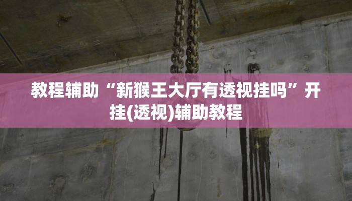 教程辅助“新猴王大厅有透视挂吗”开挂(透视)辅助教程