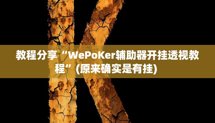教程分享“WePoKer辅助器开挂透视教程”(原来确实是有挂) 