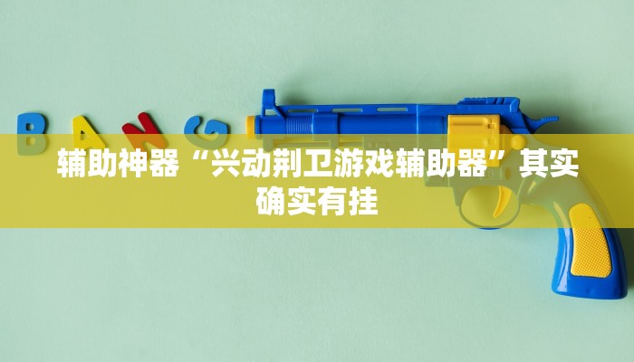 辅助神器“兴动荆卫游戏辅助器”其实确实有挂