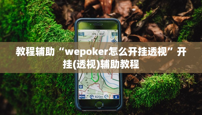 教程辅助“wepoker怎么开挂透视”开挂(透视)辅助教程