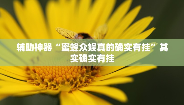 辅助神器“蜜蜂众娱真的确实有挂”其实确实有挂