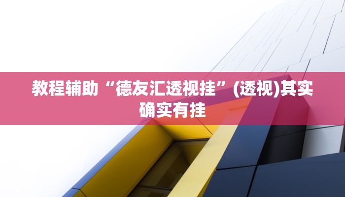 教程辅助“德友汇透视挂”(透视)其实确实有挂