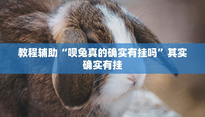 教程辅助“呗兔真的确实有挂吗”其实确实有挂
