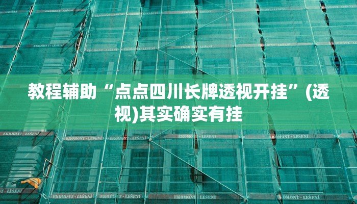 教程辅助“点点四川长牌透视开挂”(透视)其实确实有挂