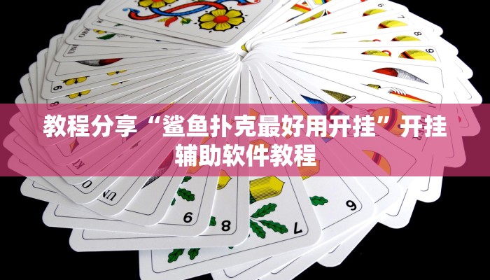 教程分享“鲨鱼扑克最好用开挂”开挂辅助软件教程