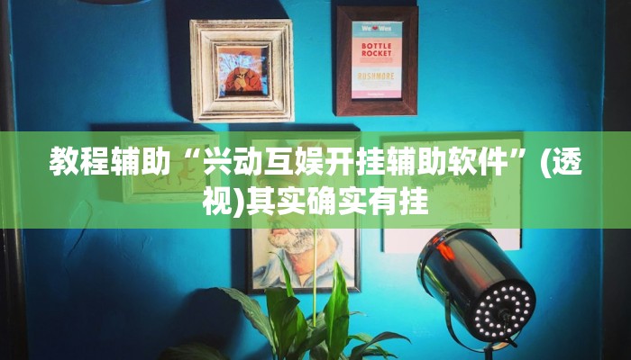 教程辅助“兴动互娱开挂辅助软件”(透视)其实确实有挂