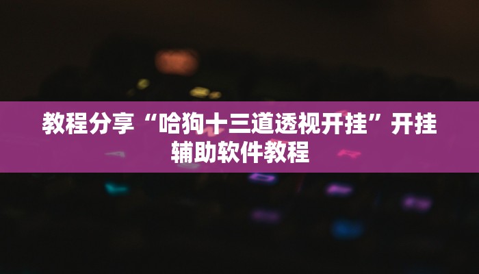教程分享“哈狗十三道透视开挂”开挂辅助软件教程