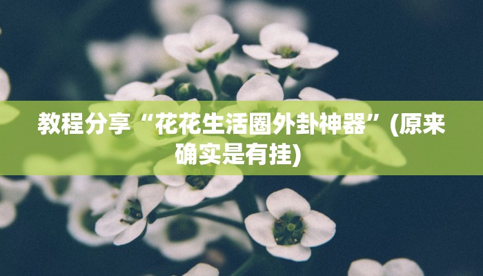 教程分享“花花生活圈外卦神器”(原来确实是有挂) 教程分享“花花生活圈外卦神器”(原来确实是有挂)