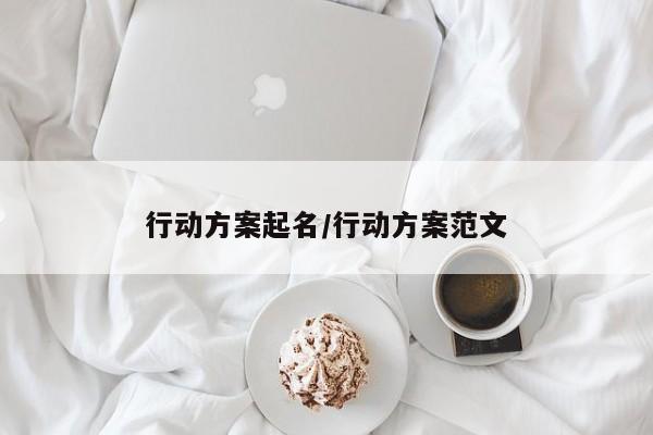 行动方案起名/行动方案范文